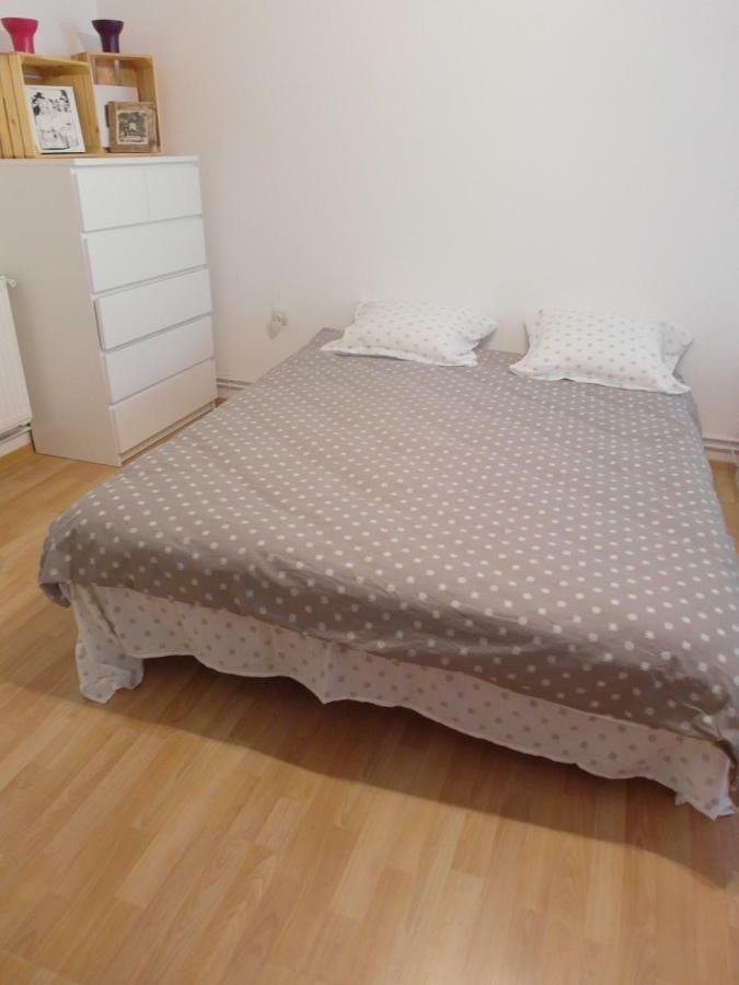 Studio Moliere Apartamento Braşov Exterior foto